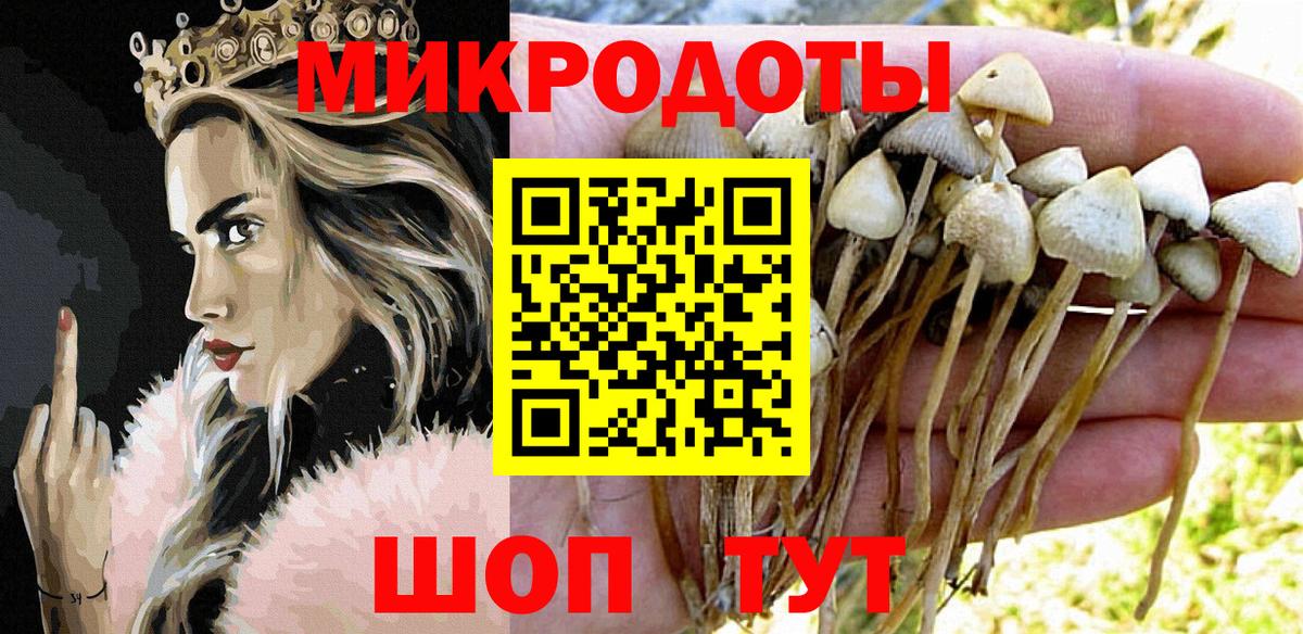 Галлюциногенные грибы мицелий Прокопьевск