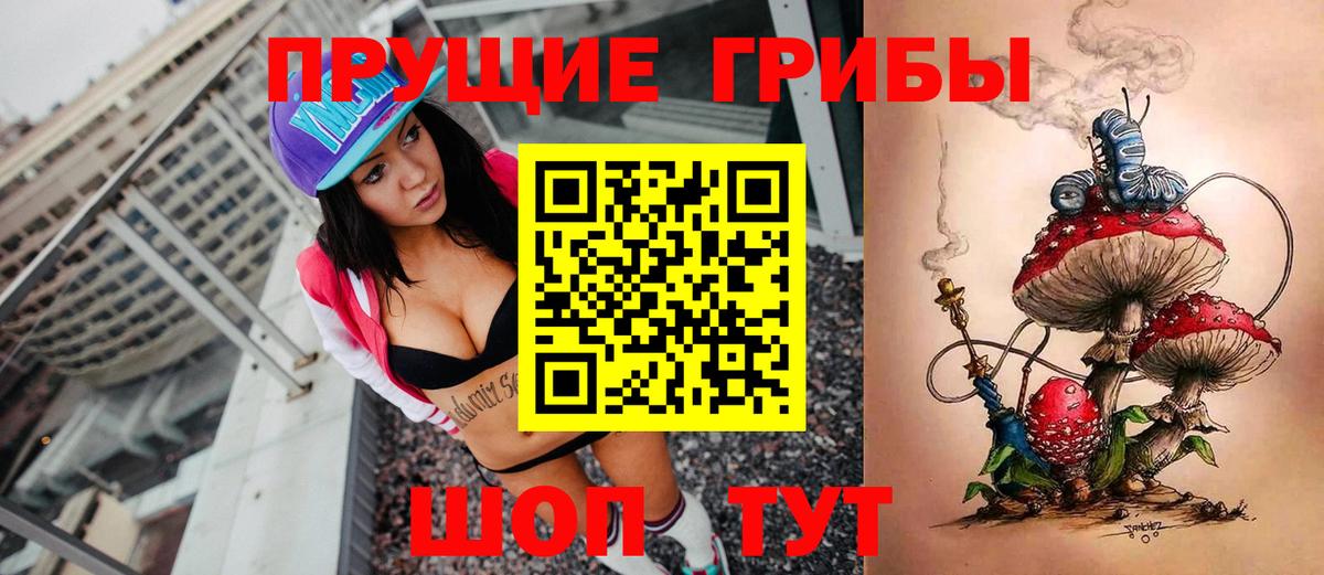 Галлюциногенные грибы Psilocybe  Вход с VPN  Прокопьевск  Галлюциногенные грибы ЛСД 