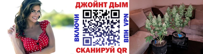 хочу наркоту  Прокопьевск  Каннабис семена 